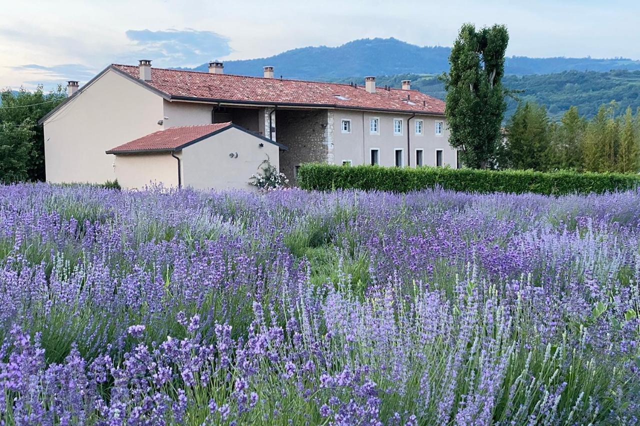 فيلا Casa Perazzolo Montecchia di Crosara المظهر الخارجي الصورة